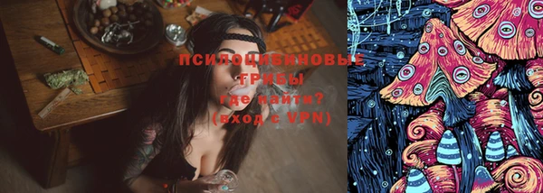бошки Михайловск