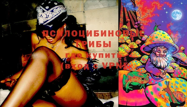 бошки Михайловск
