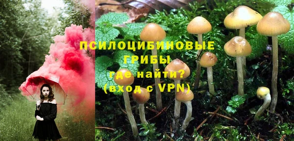 марки lsd Михайловка