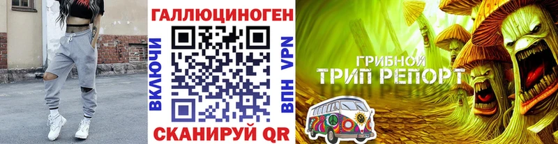 blacksprut вход  наркота  Южно-Сахалинск  Псилоцибиновые грибы MAGIC MUSHROOMS 